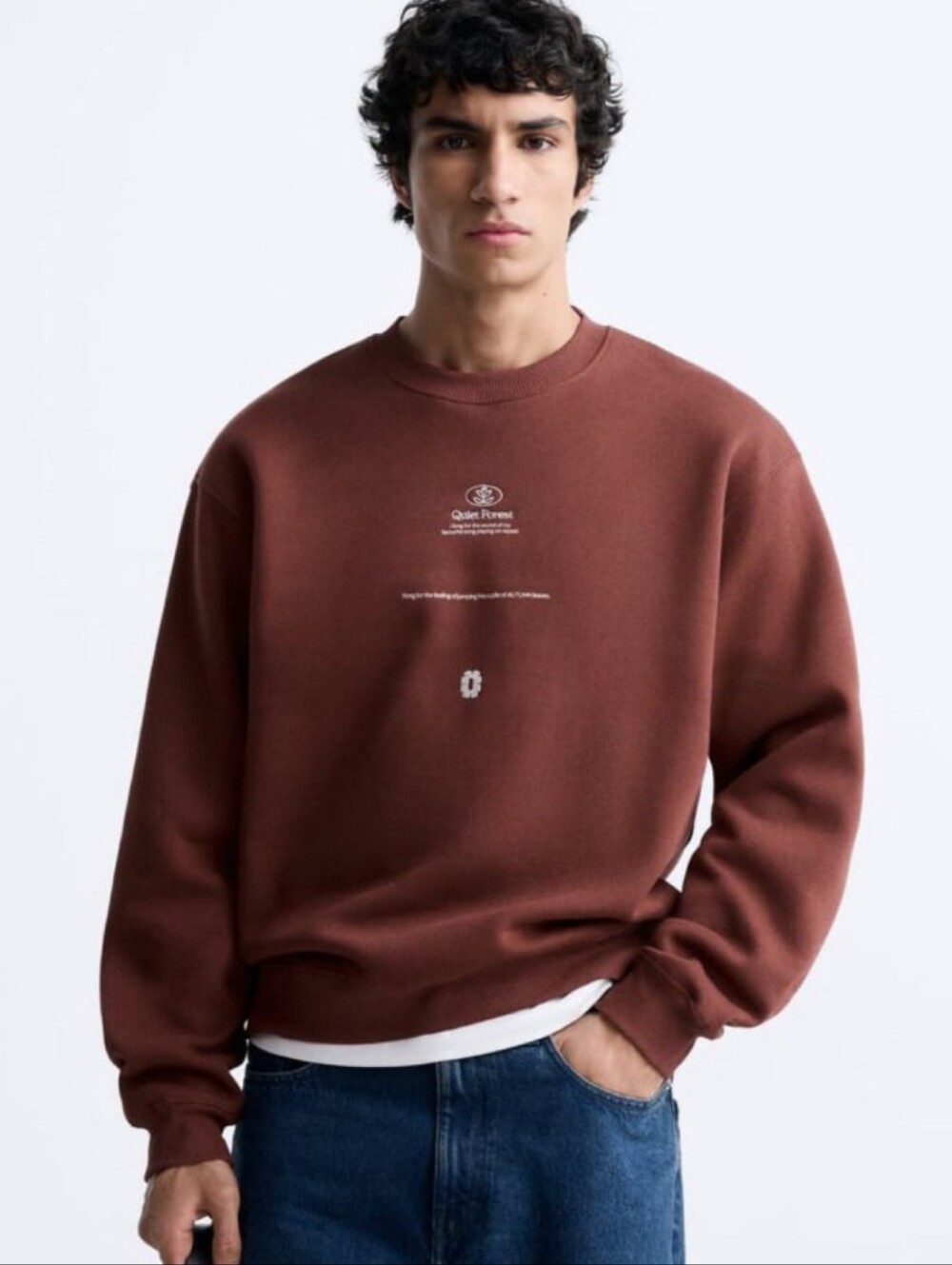 Zara Mens Quiet Forest Graphic Crew Neck Sweatshirt M Nature Transcendentalist